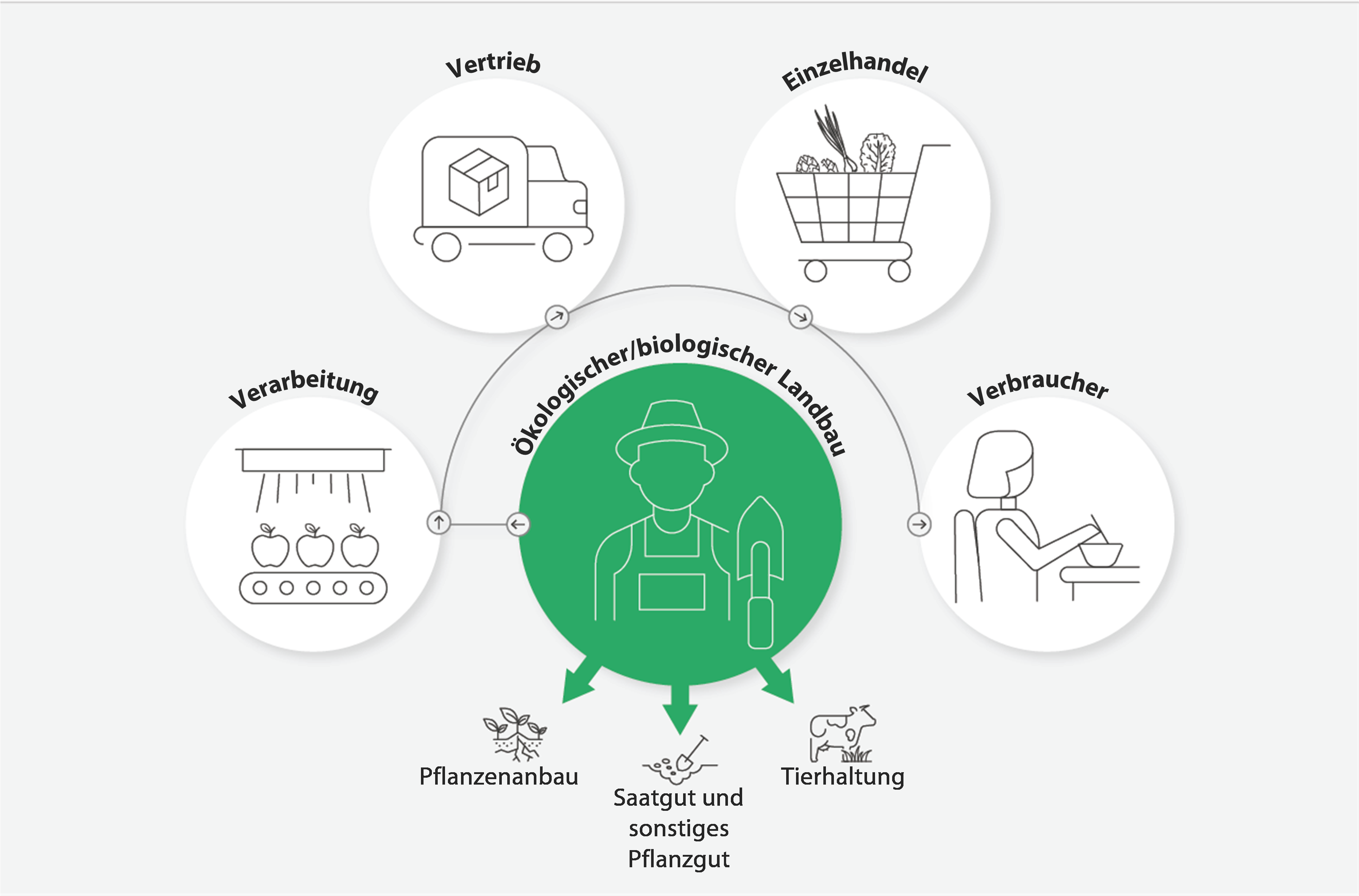 Sonderbericht 19/2024: kologischer/biologischer Landbau in der EU |  European Court of Auditors