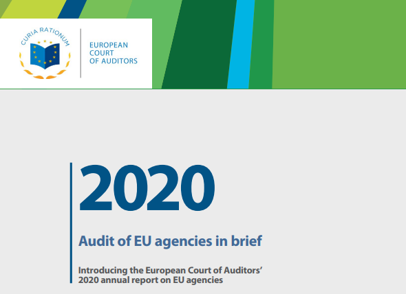 Audit agentur EU za rok 2020 ve zkratce