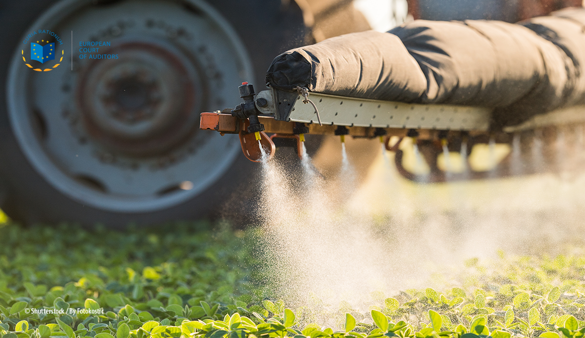 Informe Especial 05/2020: Uso sostenible de productos fitosanitarios: pocos en la medición y reducción de