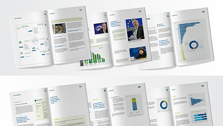 Euroopa Kontrollikoja 2017. aasta tegevusaruanne