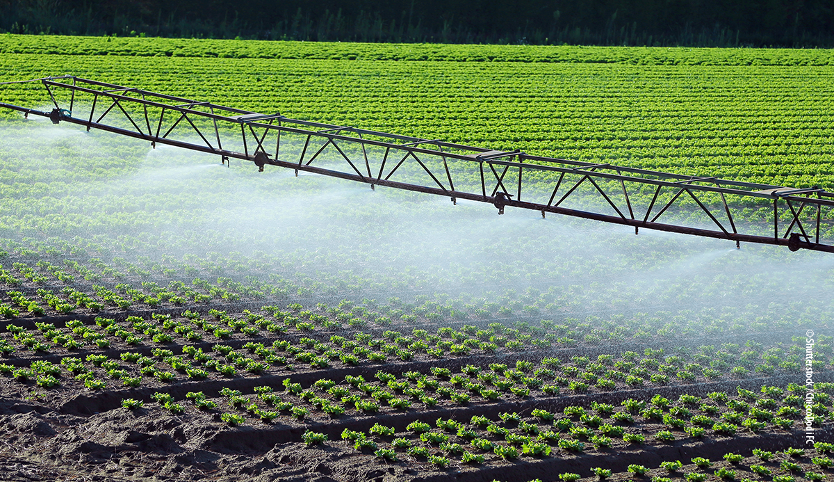 Special report 20/2021: Sustainable water use in agriculture: CAP funds more likely to promote greater rather than more efficient water use