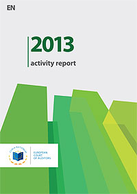 2013 Activity report