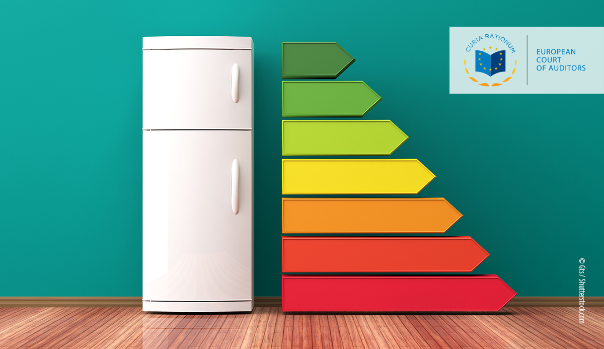 Audit preview: Ecodesign and energy labelling