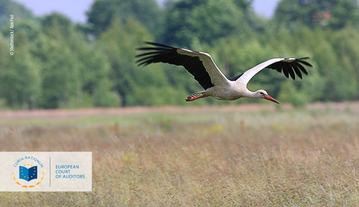 Audit preview: Biodiversity in farming