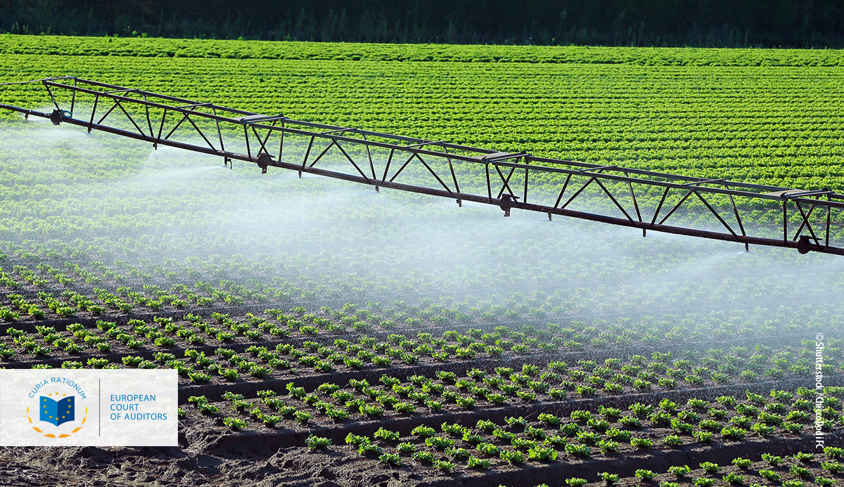 Audit preview: Sustainable use of water in agriculture