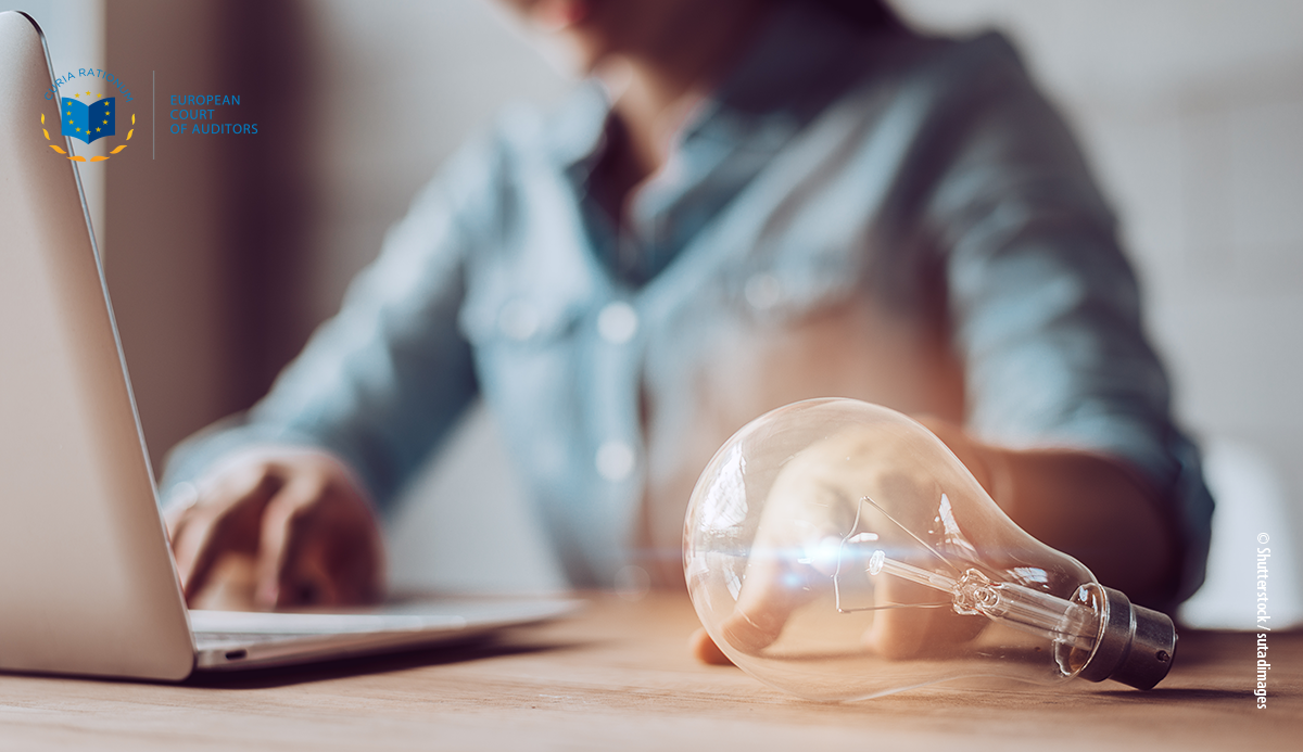 Audit preview: Protecting intellectual property rights in the EU