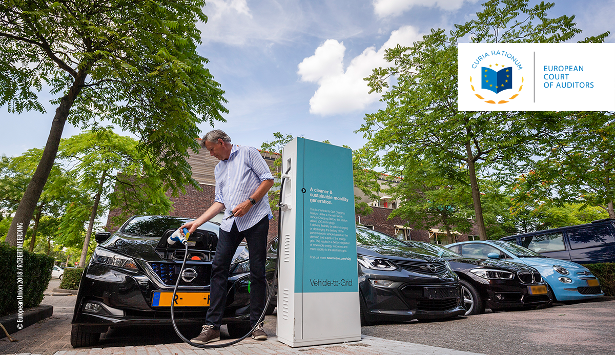 Review No 04/2019: EU support for energy storage (Briefing paper)