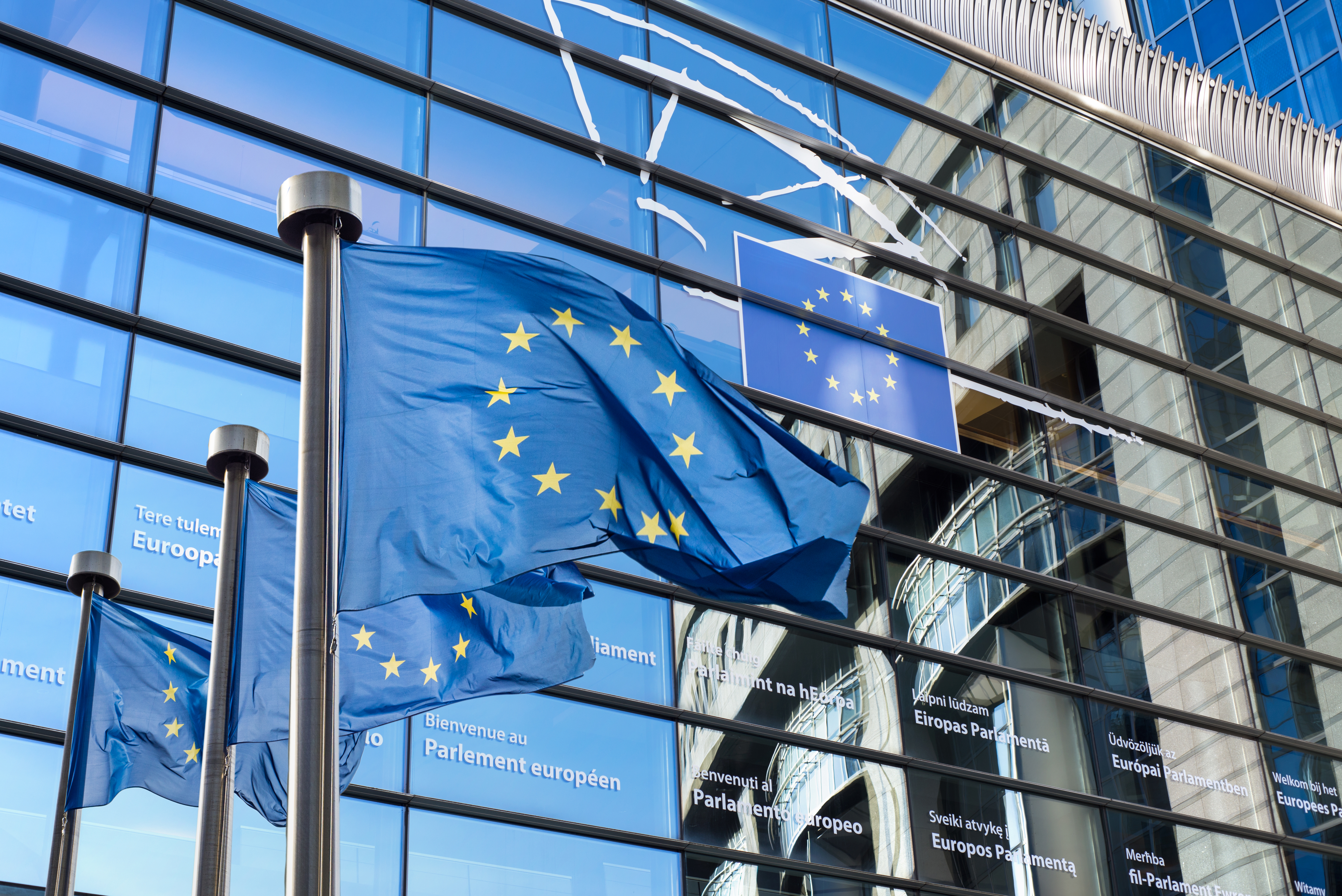 Становище 01/2022 относно предложението на Европейската комисия за регламент относно статута и финансирането на европейските политически партии и на европейските политически фондации