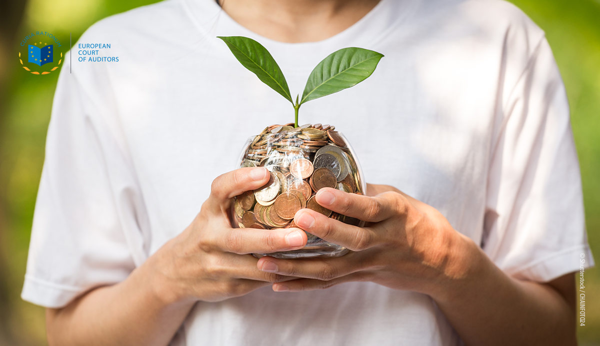 Sonderbericht 22/2021: Nachhaltiges Finanzwesen: EU muss kohärenter vorgehen, um Finanzmittel in nachhaltige Investitionen umzulenken